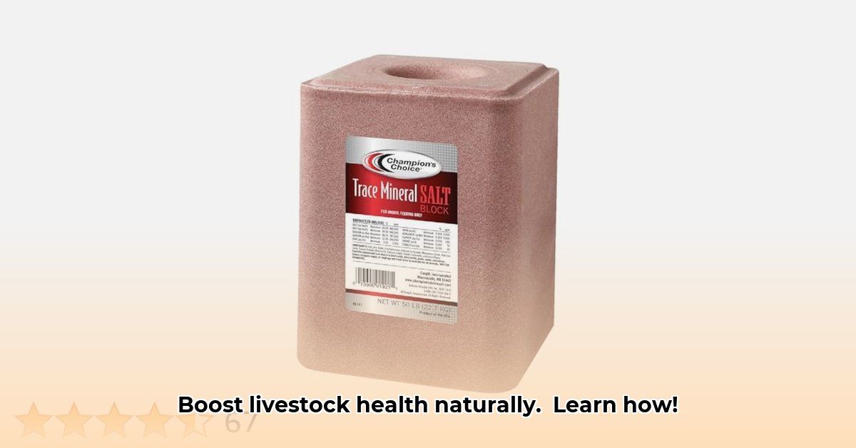 salt-blocks-at-tractor-supply